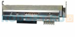 Печатающая головка 300 dpi для принтера Printronix T6000e P220355-001