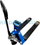 Скейл СКР (P)